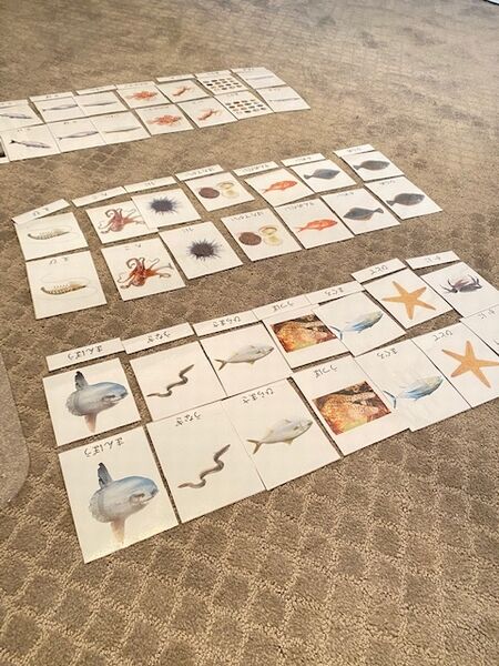 【おうちモンテ】4歳、文字の敏感期