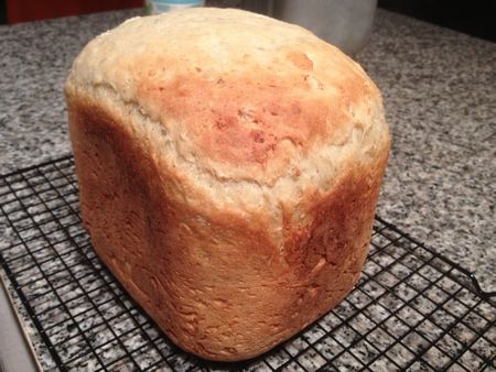 ご飯パンと学校初日