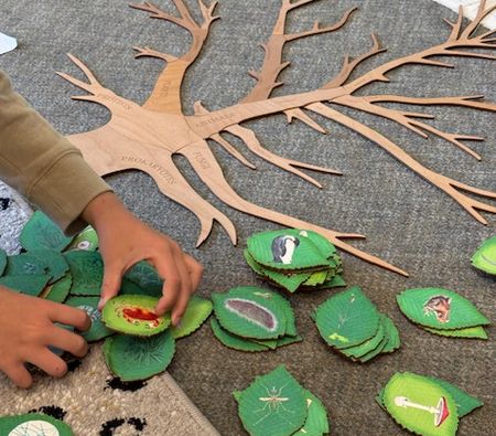 ボランティア２週目の感想