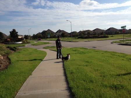 コミュニティの雰囲気