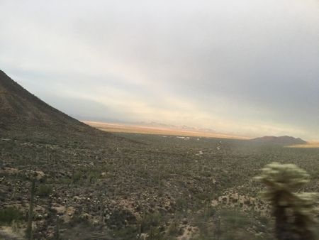 ロードトリップ8～Saguaro National Park (west)