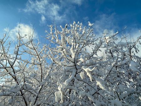 世界をみるための哲学を