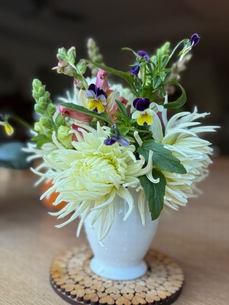 ボランティア６週目の感想