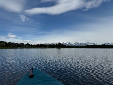 カヤック体験～野鳥たちの子育て