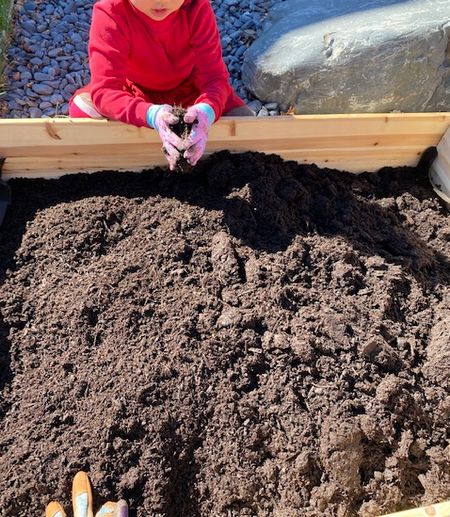 家庭菜園～棚のリメイク