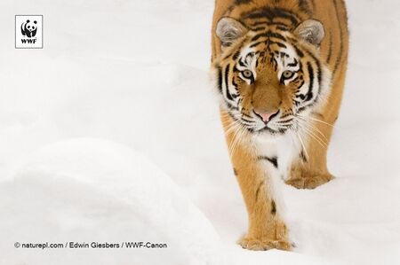 【オトナの社会科見学】はじめに