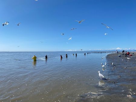 サーモン捕り～キャンプ