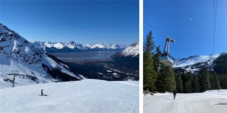 ハイキングと芽吹き