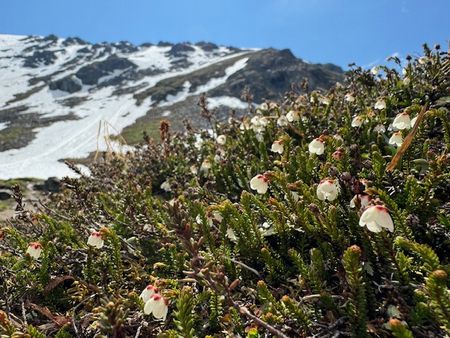 週末ドライブ～Hutcher Pass