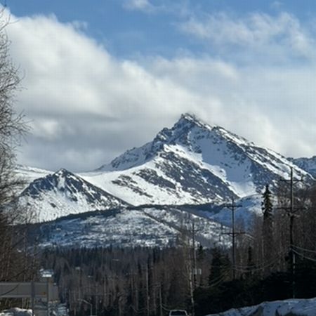 お得にNLPを学びませんか？