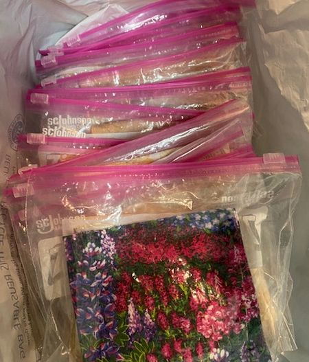 二女のボランティア