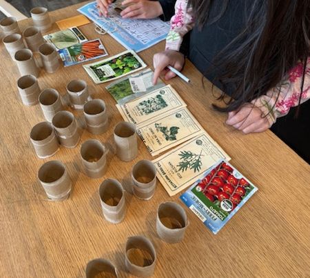 今年の苗づくり