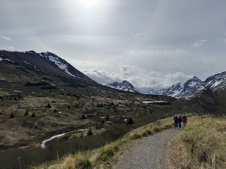 IMG_1531