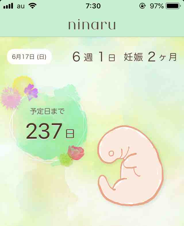 6週目の胎児はイクラサイズのジュゴン 妊娠した日から思い立って書き始めた日記