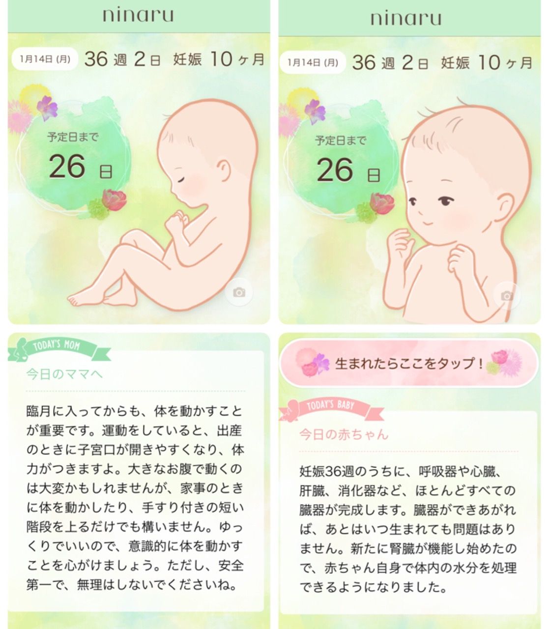 妊娠36週 頭痛と腹痛と腰痛 妊娠した日から思い立って書き始めた日記