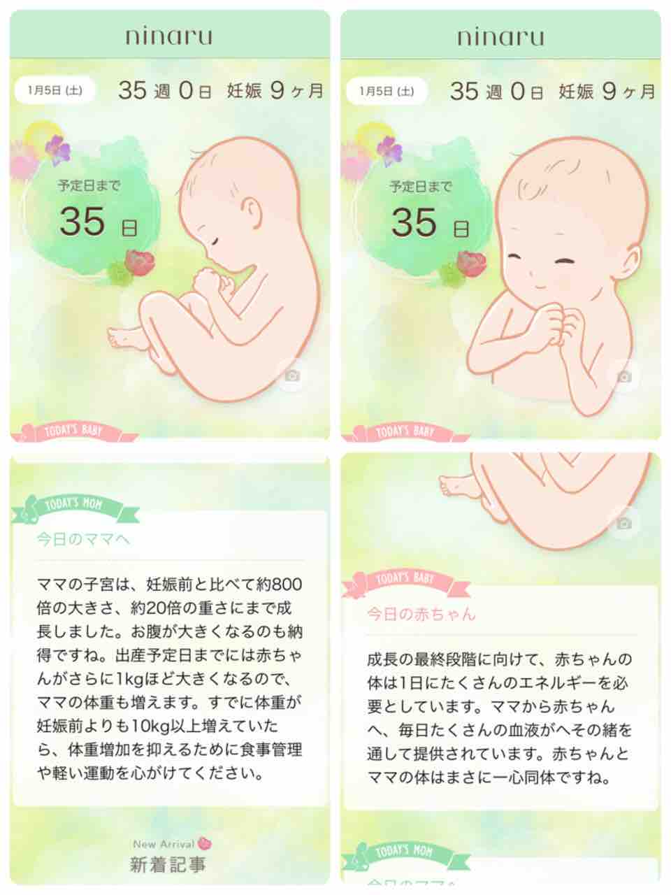妊娠35週 貯血1日後 圧倒的貧血 妊娠した日から思い立って書き始めた日記 妊娠35週 貯血1日後 圧倒的貧血 妊娠した日から思い立って書き始めた日記