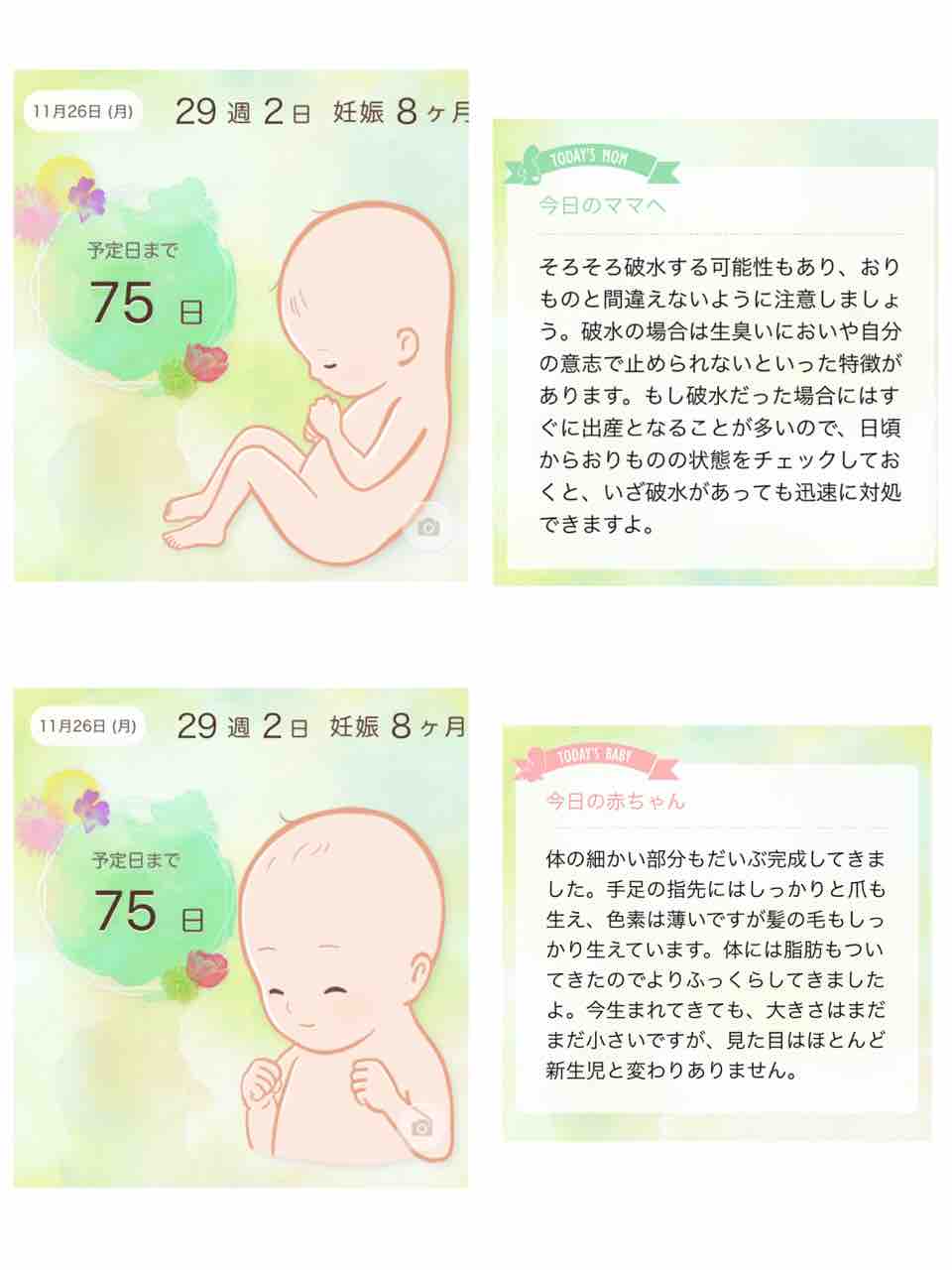 妊娠29週 切迫早産入院6日目 妊娠した日から思い立って書き始めた日記