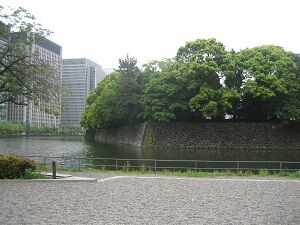 IMG_9820