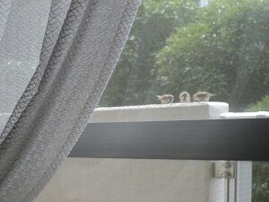 IMG_8820