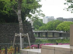 IMG_9821