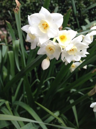 2015-03-16-12-42-05