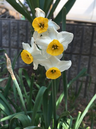 2017-03-14-12-09-06
