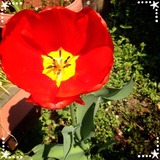 2014-04-09-13-02-35