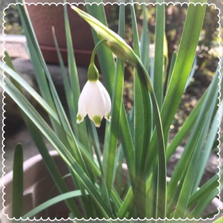 2017-03-20-00-23-54