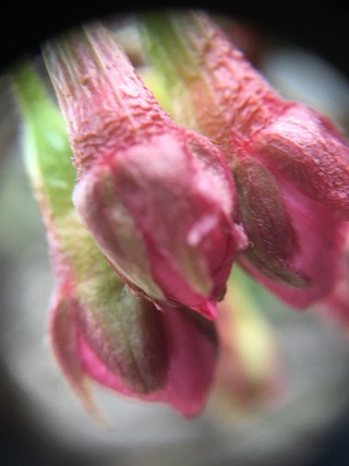 2017-03-22-17-11-12