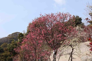 IMG_7181
