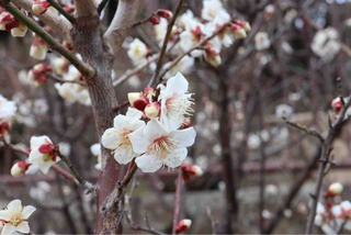 IMG_3322