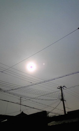 5788a5b7.jpg