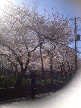 2014-03-31-08-46-49