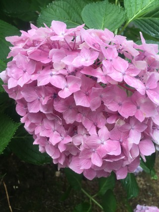 2016-06-21-08-32-01