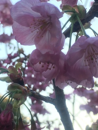 2016-03-21-17-18-24