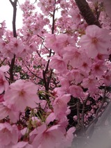 2014-03-29-09-36-43