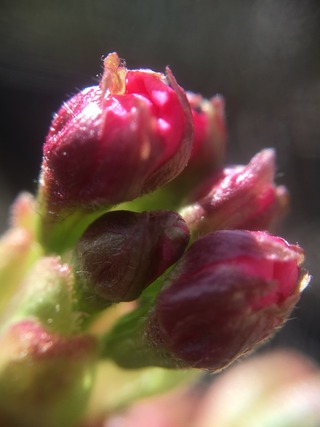 2016-03-11-11-21-26