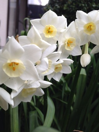 2015-03-16-12-41-31
