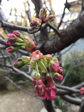 2017-03-22-17-12-31