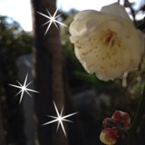 2015-01-28-16-11-31