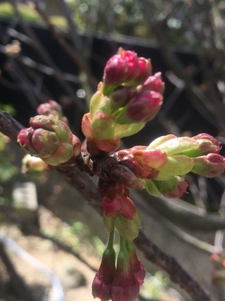 2016-03-11-11-20-24