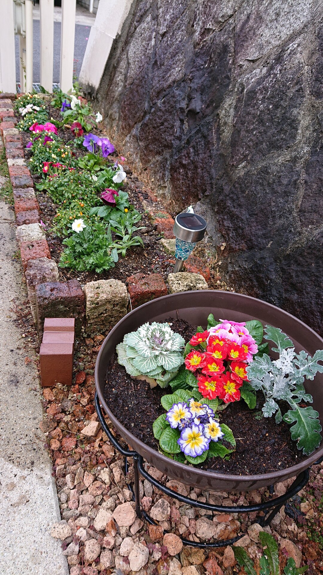 冬の花壇と丸3年 飲み助のランニング記録と時々家庭菜園