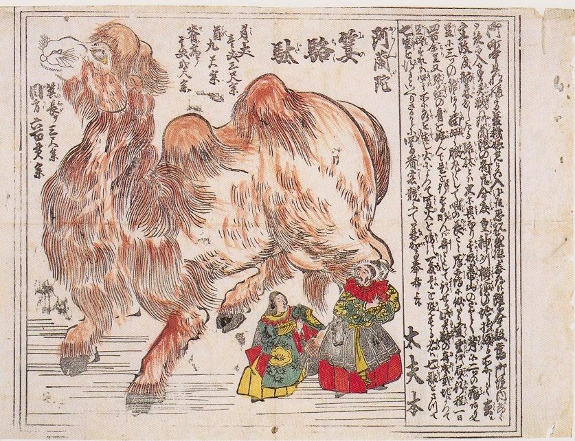 文久三年(1863)癸亥 : 見世物興行年表 文久三年(1863)癸亥 : 見世物興行年表