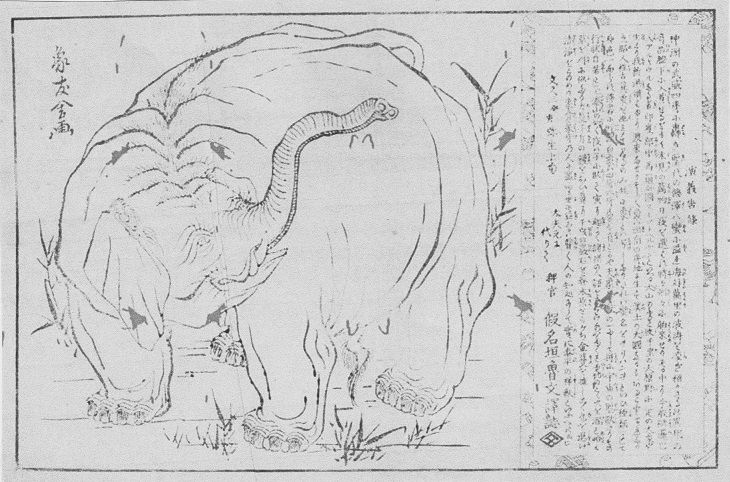 文久三年(1863)癸亥 象の見世物 : 見世物興行年表 文久三年(1863)癸亥 象の見世物 : 見世物興行年表