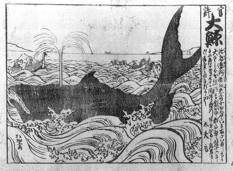 明治16年(1883年)7月~12月 : 見世物興行年表 明治16年(1883年)7月~12月 : 見世物興行年表