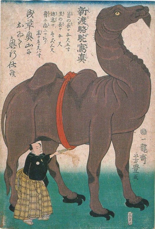【中古】 現代中国の宗教 信仰と社会をめぐる民族誌/昭和堂（京都）/川口幸大 Amazon.co.jp: 現代中国の宗教: 信仰と社会をめぐる民族誌 (東北