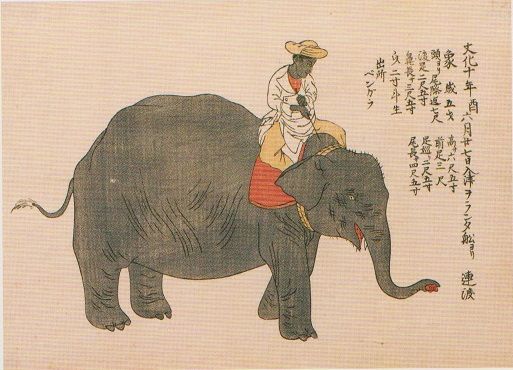 文化十年（1813） : 見世物興行年表