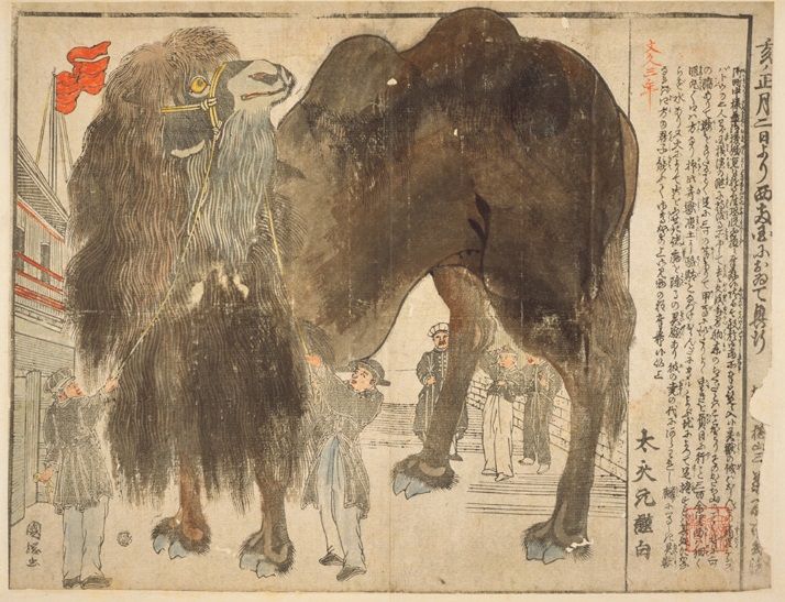 文久三年(1863)癸亥 : 見世物興行年表 文久三年(1863)癸亥 : 見世物興行年表