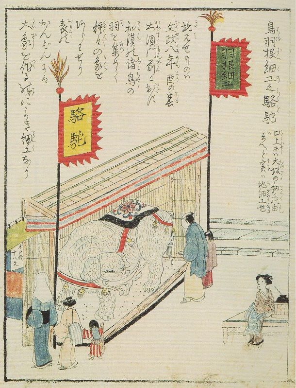 文政八年(1825)乙酉 : 見世物興行年表 文政八年(1825)乙酉 : 見世物興行年表