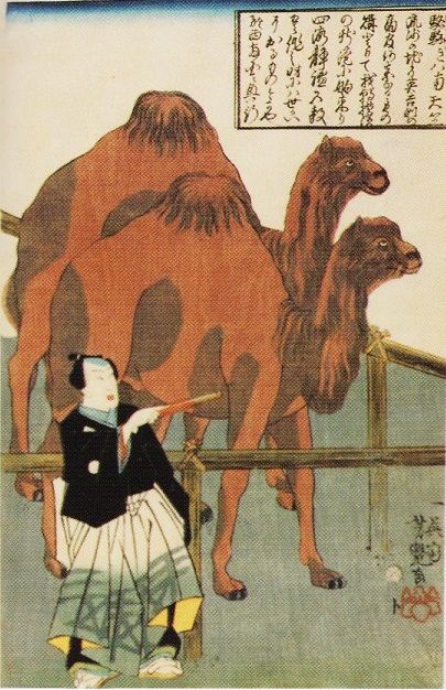 文久二年（1862）壬戌 : 見世物興行年表